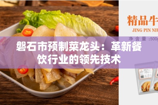 磐石市预制菜龙头：革新餐饮行业的领先技术