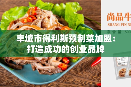 丰城市得利斯预制菜加盟：打造成功的创业品牌
