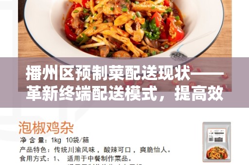 播州区预制菜配送现状——革新终端配送模式，提高效率和质量
