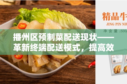 播州区预制菜配送现状——革新终端配送模式，提高效率和质量