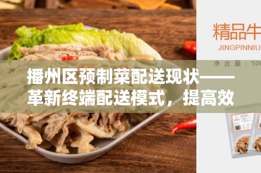 播州区预制菜配送现状——革新终端配送模式，提高效率和质量