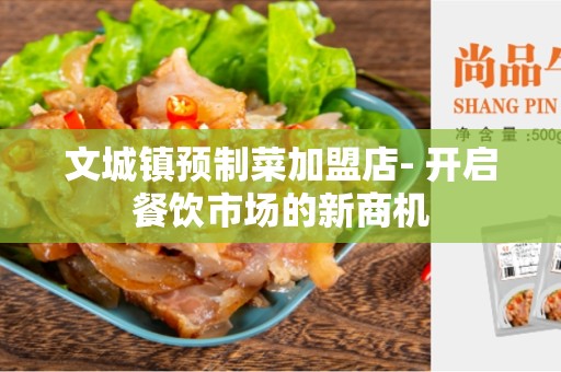 文城镇预制菜加盟店- 开启餐饮市场的新商机