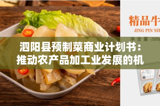 泗阳县预制菜商业计划书：推动农产品加工业发展的机遇与挑战