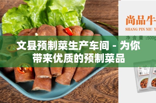 文县预制菜生产车间 - 为你带来优质的预制菜品