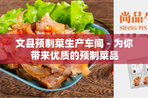文县预制菜生产车间 - 为你带来优质的预制菜品