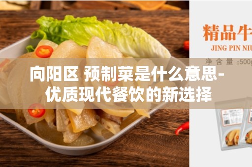 向阳区 预制菜是什么意思- 优质现代餐饮的新选择