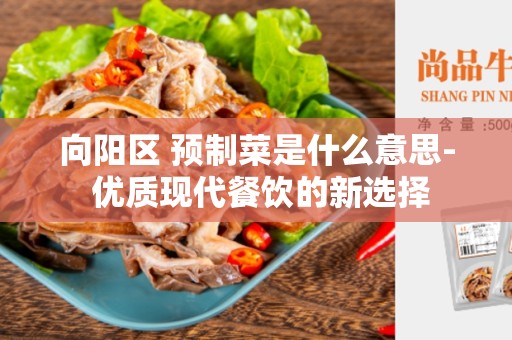 向阳区 预制菜是什么意思- 优质现代餐饮的新选择