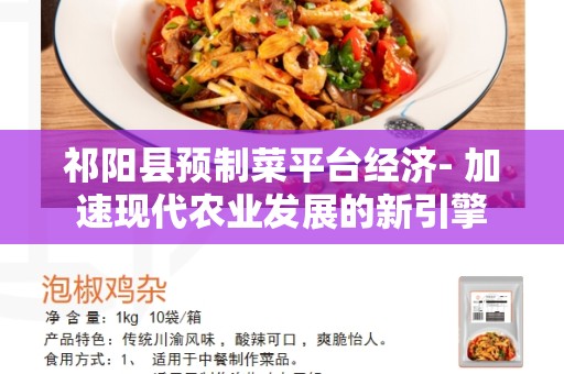 祁阳县预制菜平台经济- 加速现代农业发展的新引擎