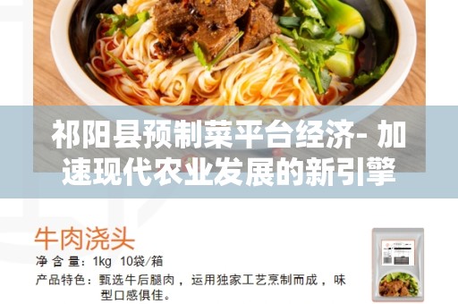 祁阳县预制菜平台经济- 加速现代农业发展的新引擎