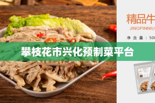 攀枝花市兴化预制菜平台