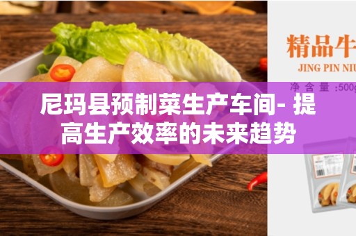 尼玛县预制菜生产车间- 提高生产效率的未来趋势