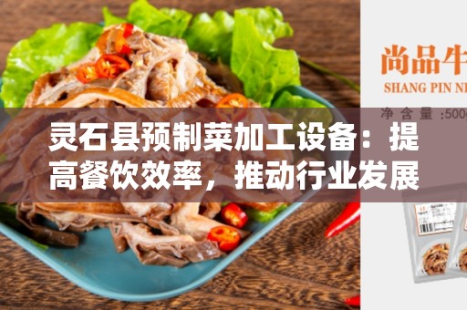 灵石县预制菜加工设备：提高餐饮效率，推动行业发展