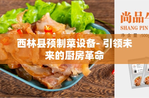 西林县预制菜设备- 引领未来的厨房革命