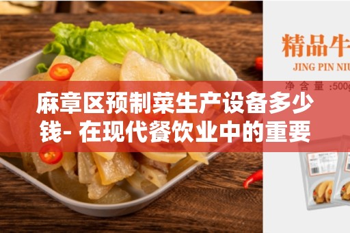 麻章区预制菜生产设备多少钱- 在现代餐饮业中的重要性及选择指南