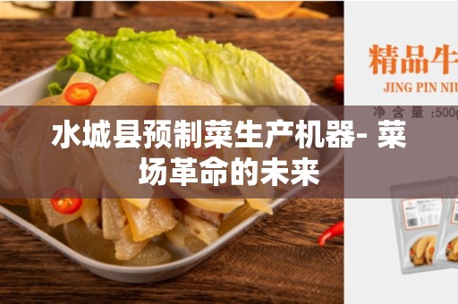 水城县预制菜生产机器- 菜场革命的未来