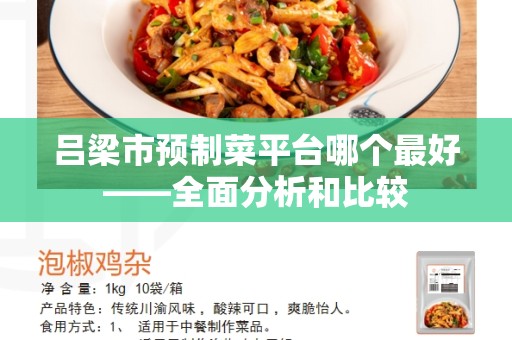 吕梁市预制菜平台哪个最好——全面分析和比较