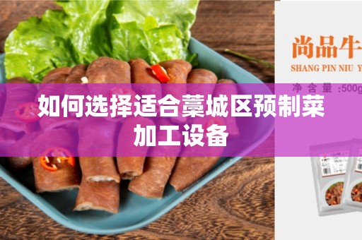 如何选择适合藁城区预制菜加工设备