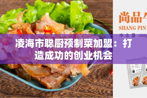 凌海市聪厨预制菜加盟：打造成功的创业机会