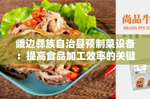 峨边彝族自治县预制菜设备：提高食品加工效率的关键