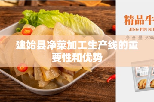 建始县净菜加工生产线的重要性和优势