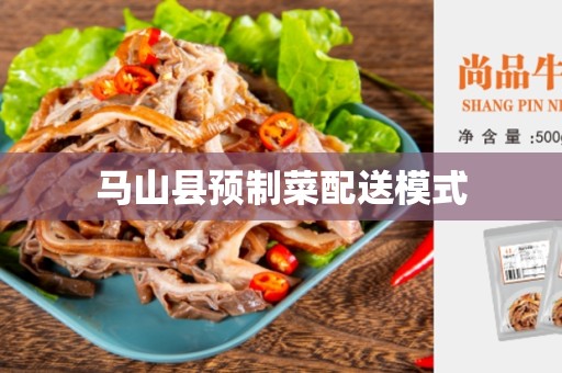 马山县预制菜配送模式