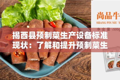 揭西县预制菜生产设备标准现状：了解和提升预制菜生产设备的质量与规范
