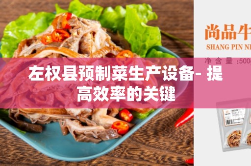 左权县预制菜生产设备- 提高效率的关键