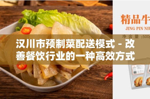 汉川市预制菜配送模式 - 改善餐饮行业的一种高效方式