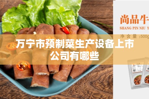 万宁市预制菜生产设备上市公司有哪些
