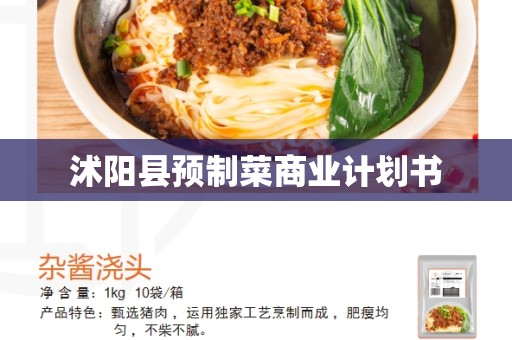 沭阳县预制菜商业计划书