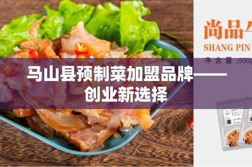 马山县预制菜加盟品牌——创业新选择