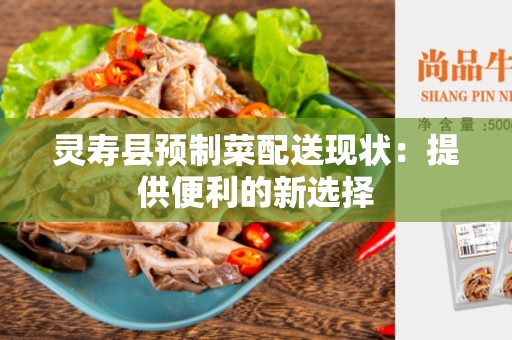 灵寿县预制菜配送现状：提供便利的新选择