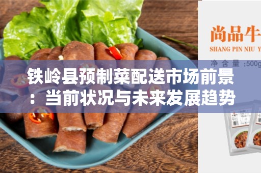 铁岭县预制菜配送市场前景：当前状况与未来发展趋势