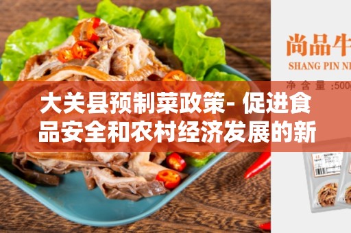 大关县预制菜政策- 促进食品安全和农村经济发展的新机遇