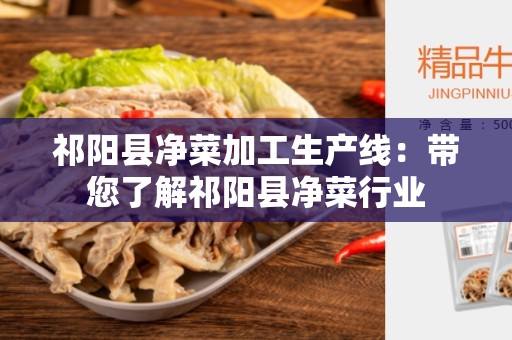 祁阳县净菜加工生产线：带您了解祁阳县净菜行业