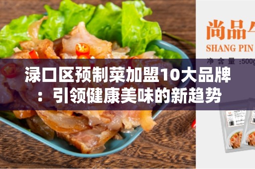 渌口区预制菜加盟10大品牌：引领健康美味的新趋势