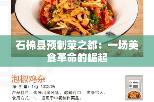 石棉县预制菜之都：一场美食革命的崛起