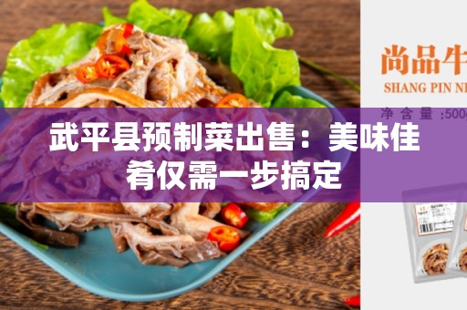 武平县预制菜出售：美味佳肴仅需一步搞定
