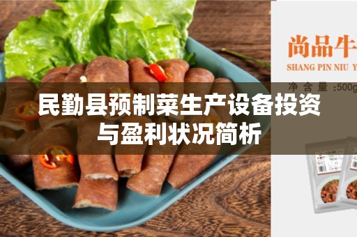 民勤县预制菜生产设备投资与盈利状况简析