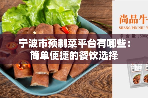 宁波市预制菜平台有哪些：简单便捷的餐饮选择