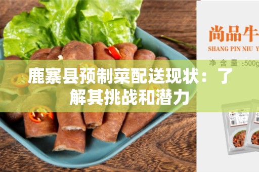 鹿寨县预制菜配送现状：了解其挑战和潜力