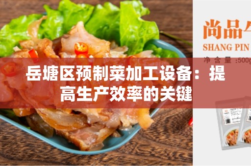 岳塘区预制菜加工设备：提高生产效率的关键