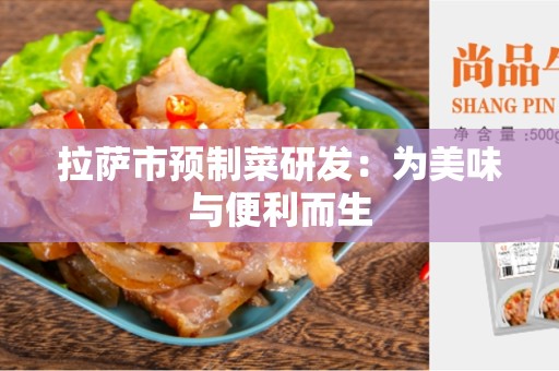 拉萨市预制菜研发：为美味与便利而生