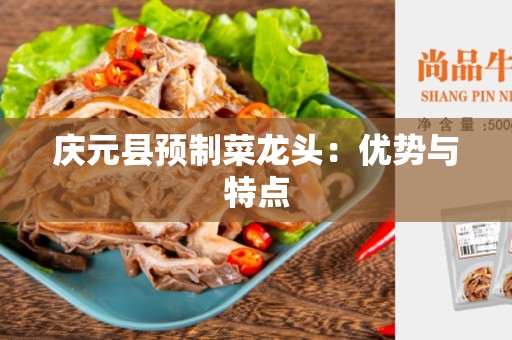 庆元县预制菜龙头：优势与特点