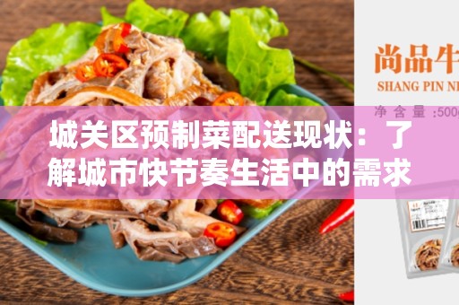 城关区预制菜配送现状：了解城市快节奏生活中的需求和挑战
