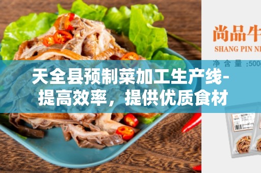 天全县预制菜加工生产线- 提高效率，提供优质食材
