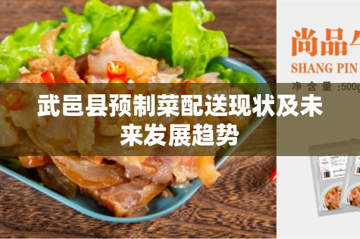 武邑县预制菜配送现状及未来发展趋势