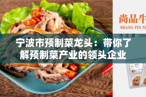 宁波市预制菜龙头：带你了解预制菜产业的领头企业
