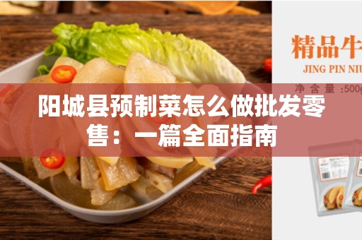 阳城县预制菜怎么做批发零售：一篇全面指南
