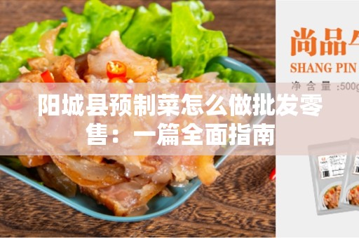 阳城县预制菜怎么做批发零售：一篇全面指南